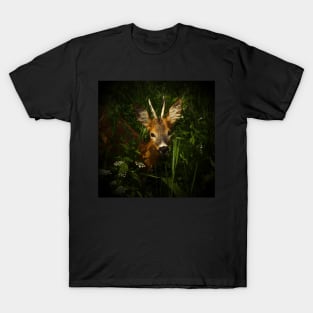 Young roe deer T-Shirt